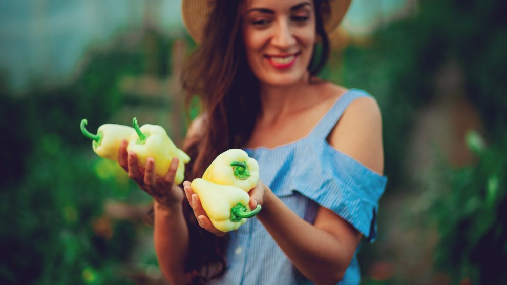 nő a veteményesben mutatja a szép nagy paprikáit