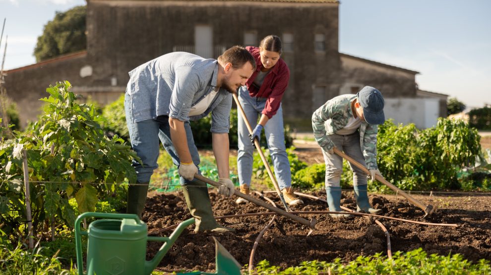 Egy család műveli a földet