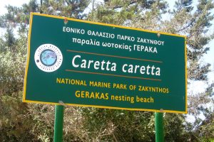 gerakas strand görögország teknősök