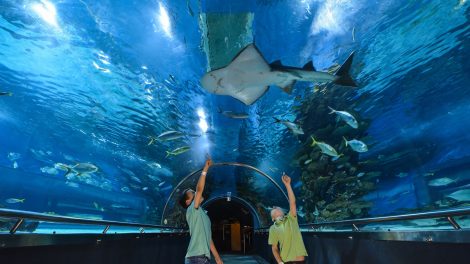 Tropicarium