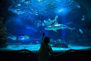 Tropicarium