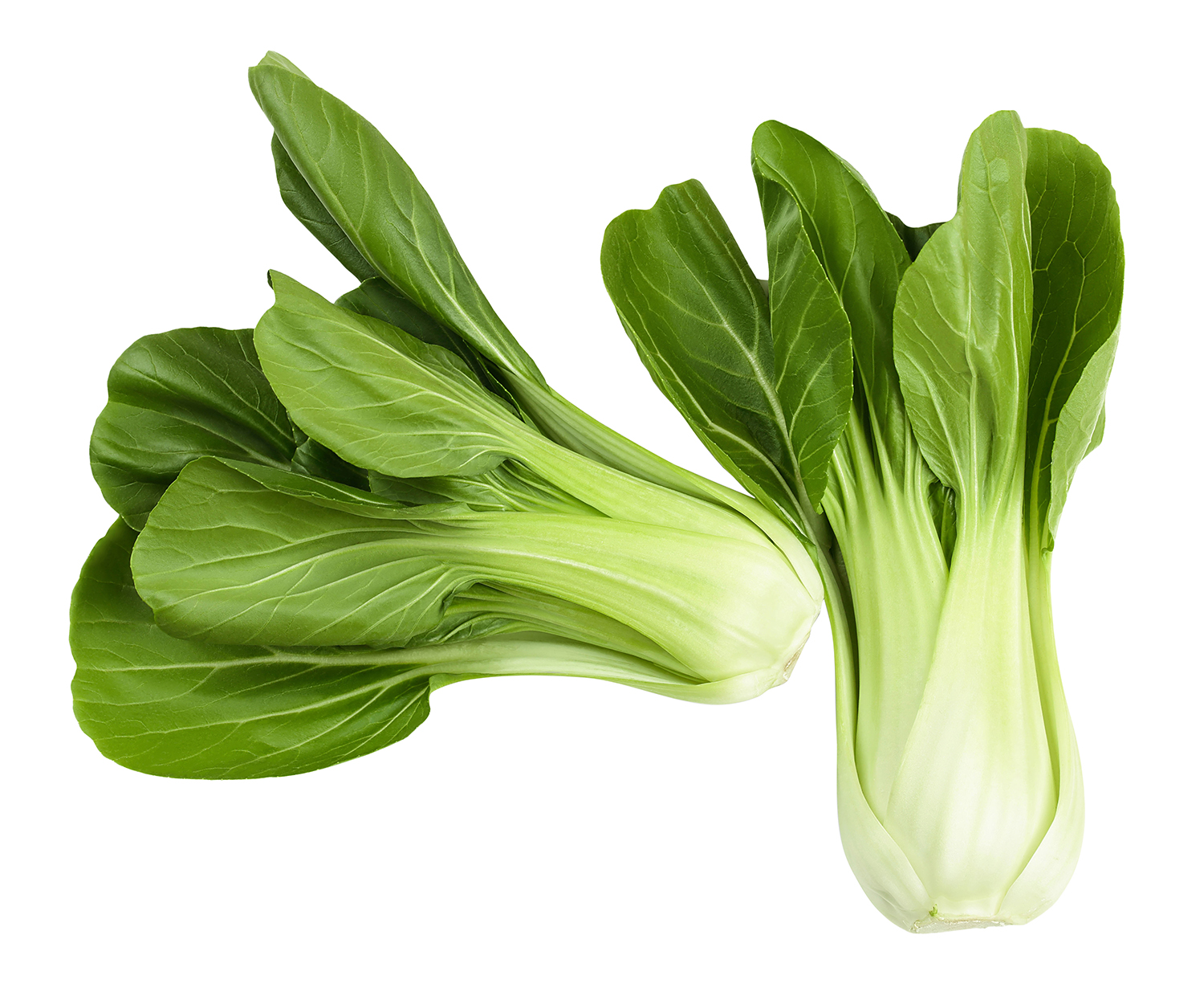 A veteményes szupersztárjai | Meglepetés Pak Choi