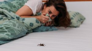pók a hálószobában az ágyban nő fél tőle