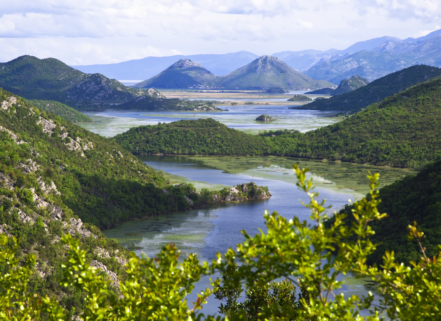 Shkodrai-tó montenegró