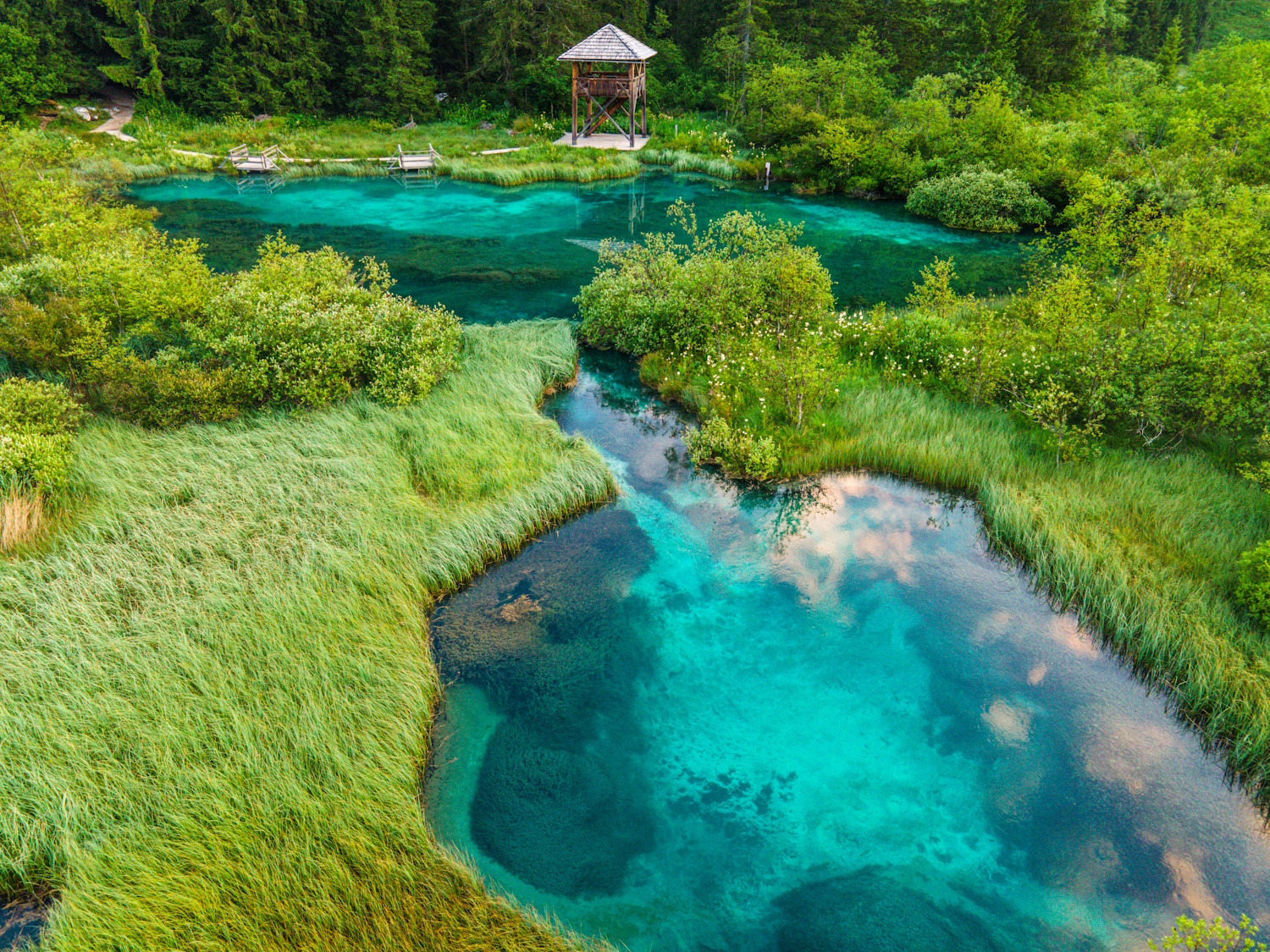 Zelenci tó szlovénia