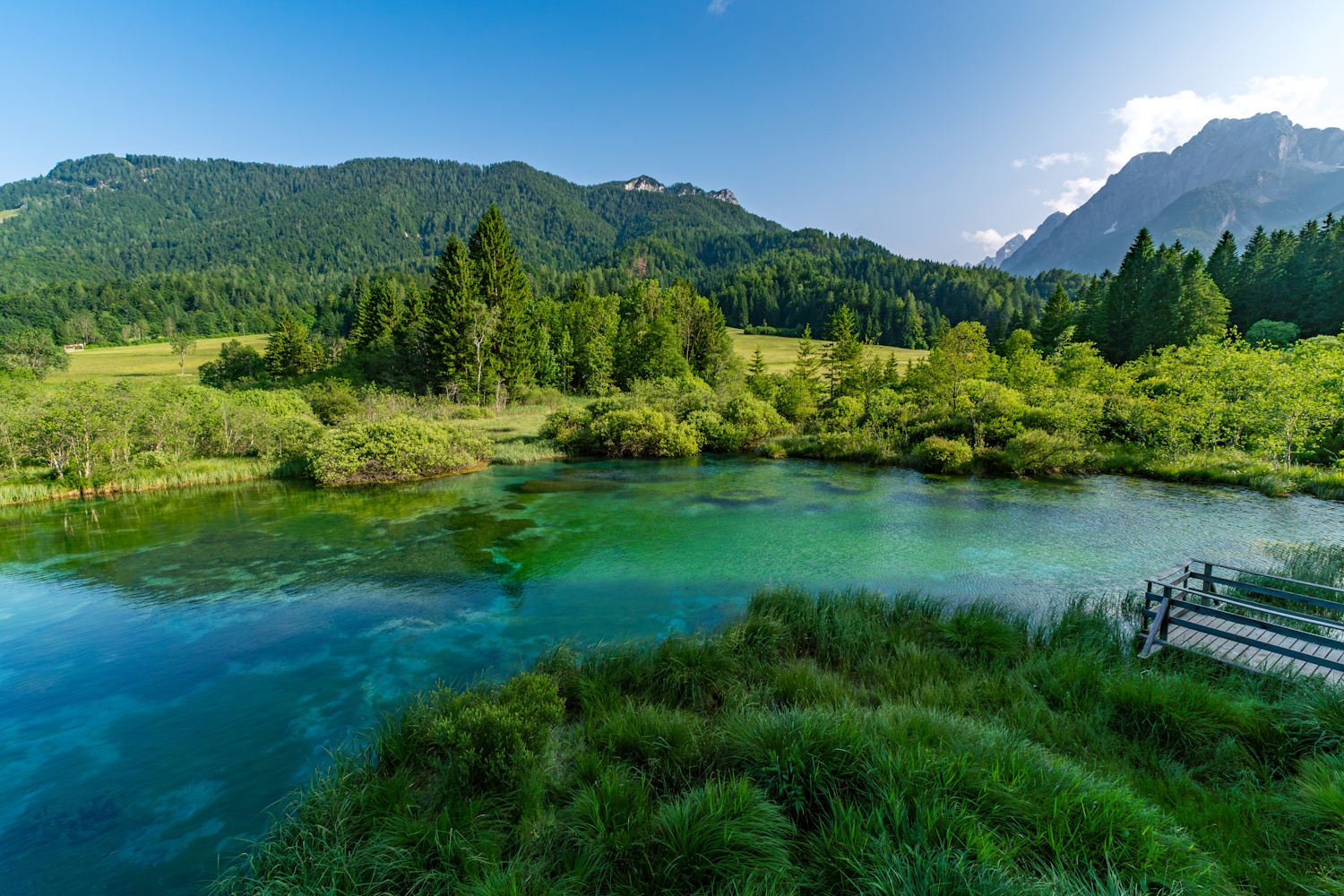 Zelenci tó szlovénia