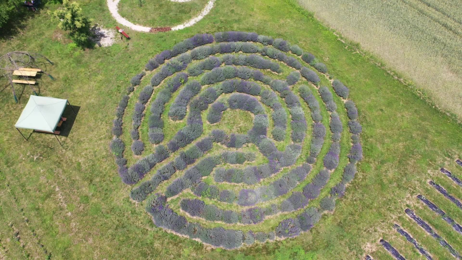 Kemenessömjeni Levendulafarm
