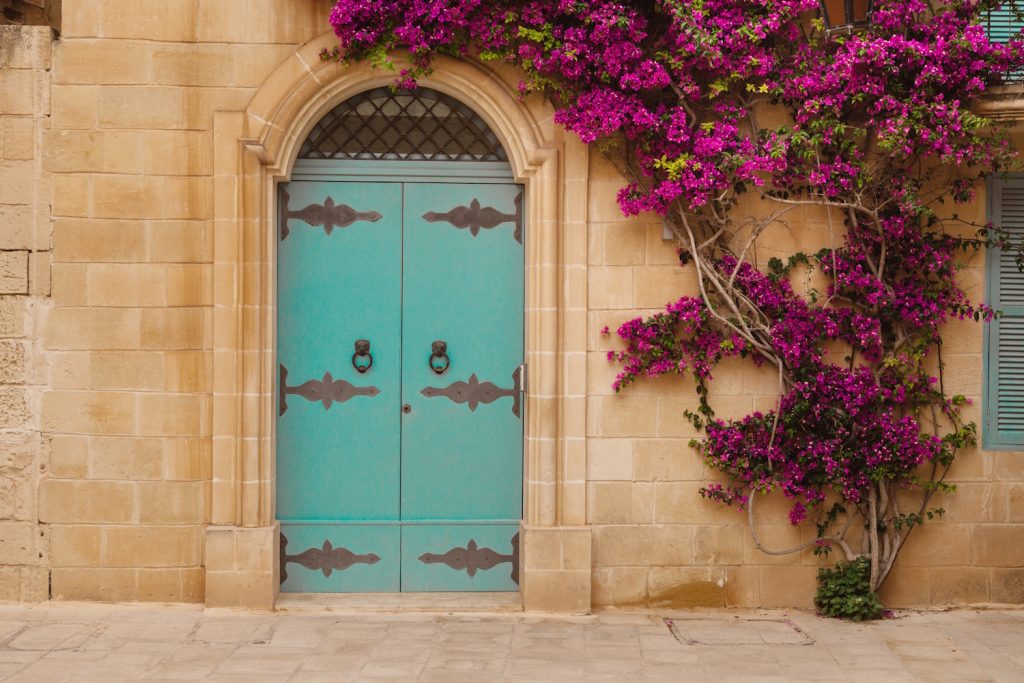 Ancient maltese house with pink bougainvillea in the wall | Meglepetés murvafürt egy régi kapu fölött