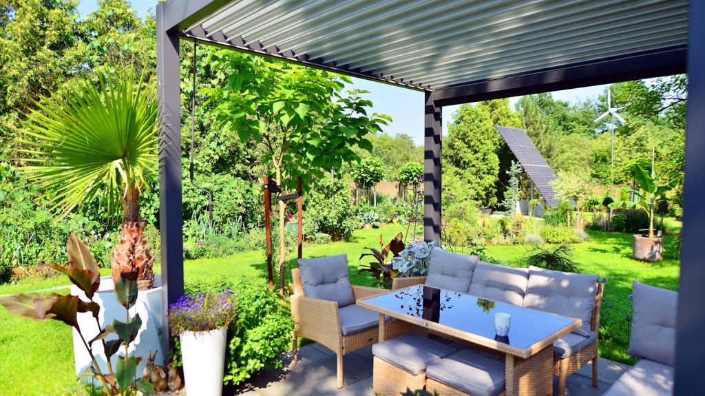 pergola | Meglepetés