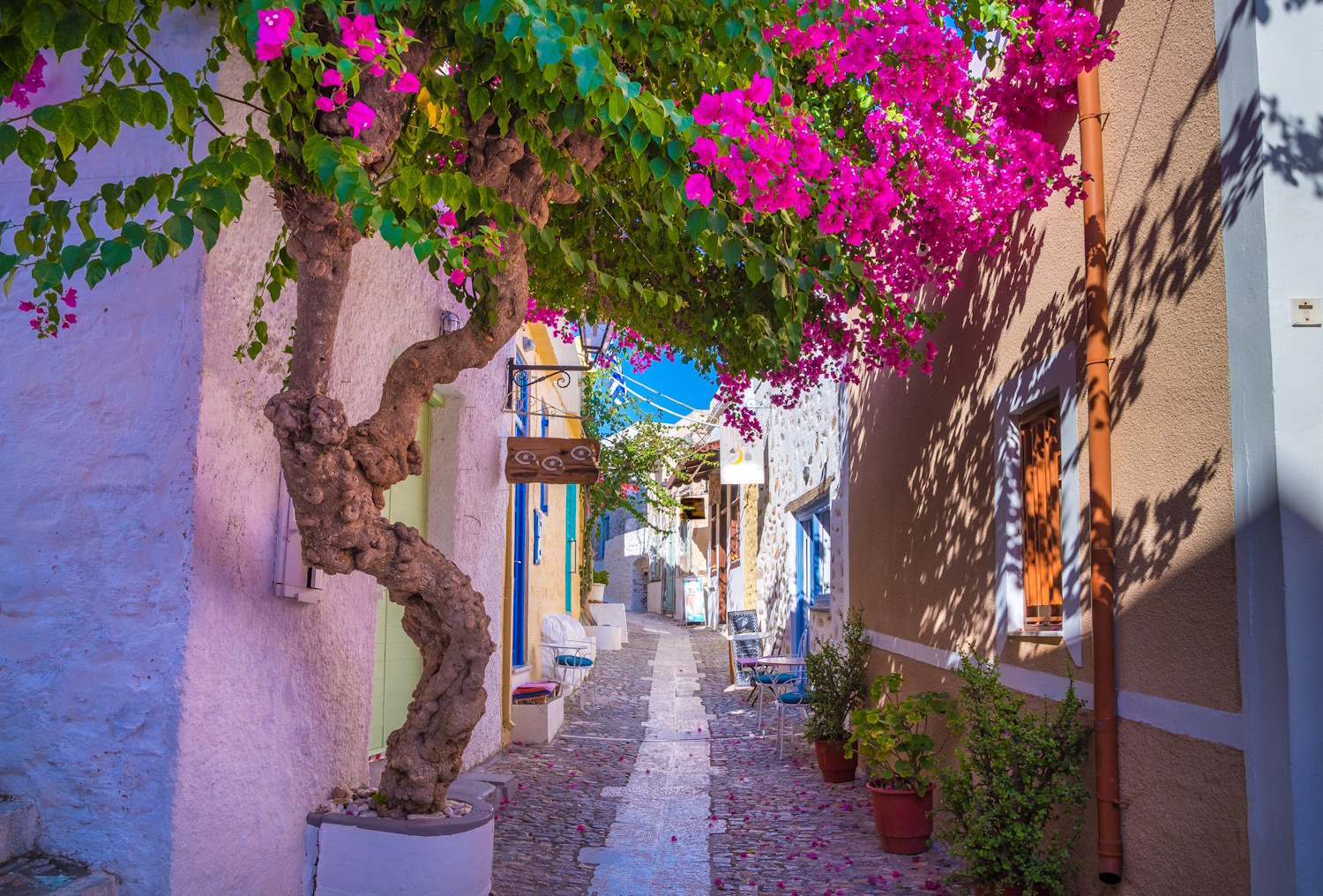 szírosz syros görög sziget macskasziget