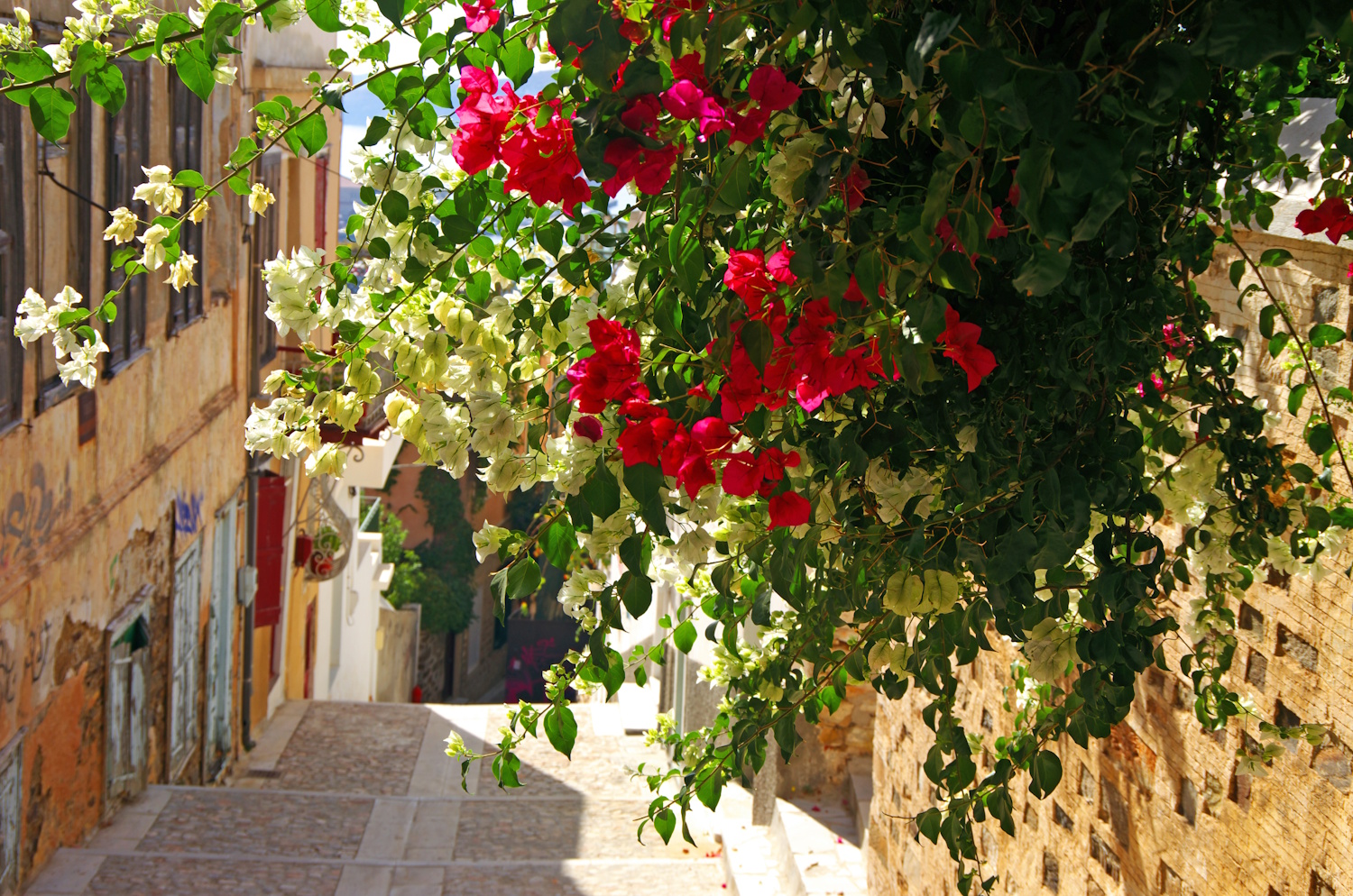 szírosz syros görög sziget macskasziget