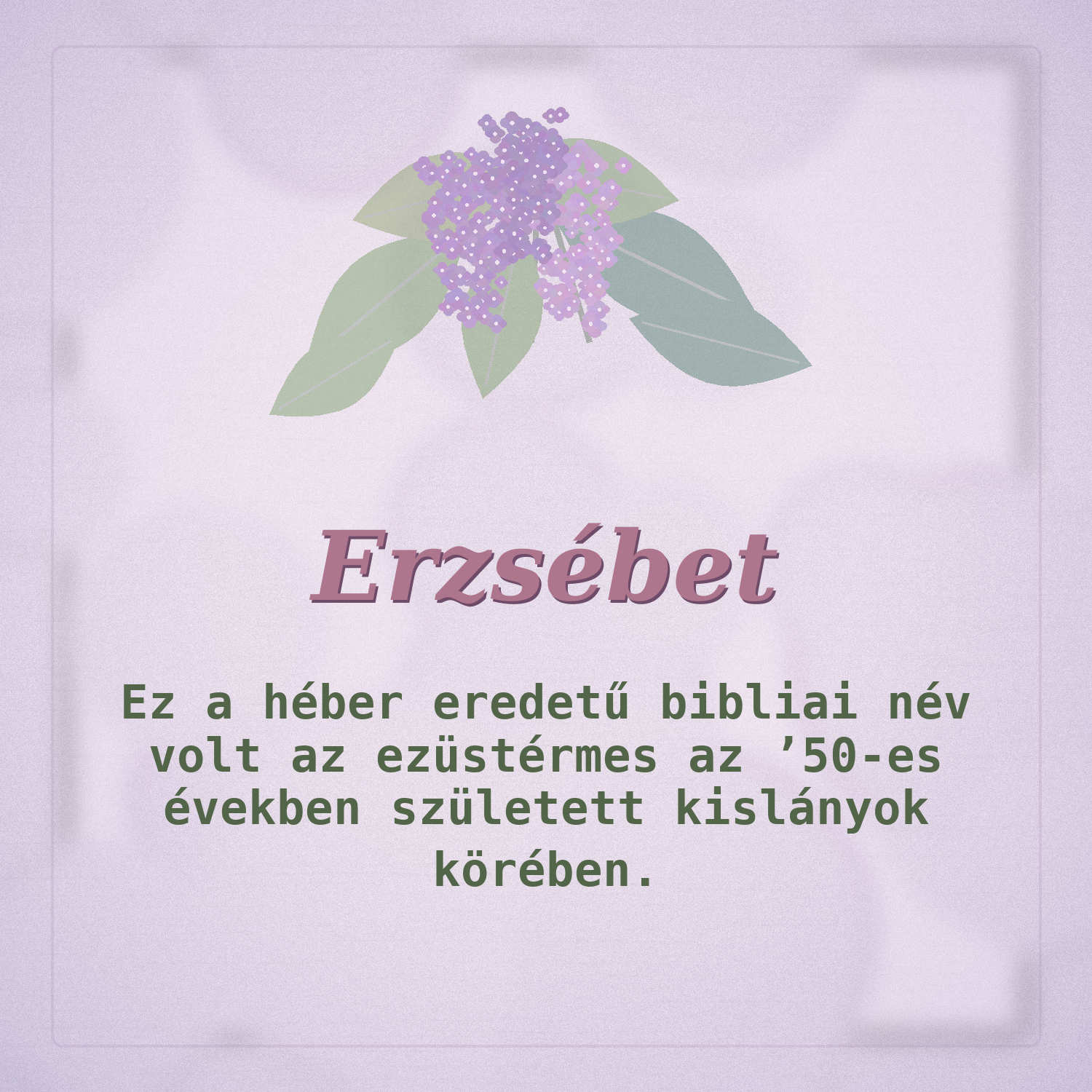 02_Erzsébet_orgonas_kartya | Meglepetés