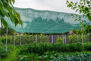árnyékoló háló veteményes fölött a kertben
