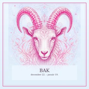 bak_premium | Meglepetés