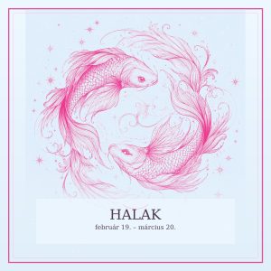 halak_premium | Meglepetés