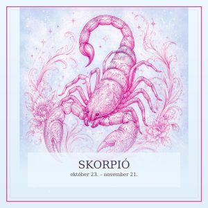 skorpio_premium | Meglepetés