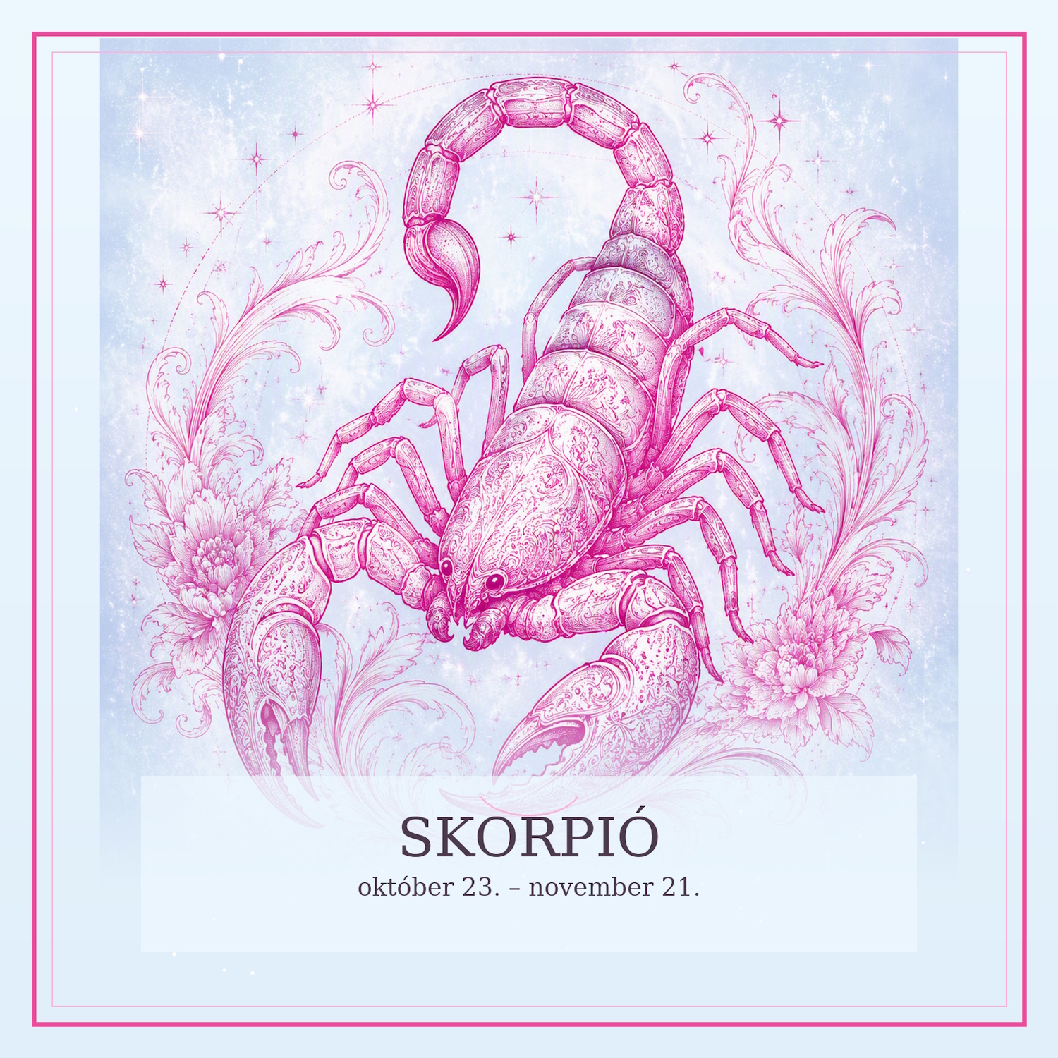 skorpio_premium | Meglepetés