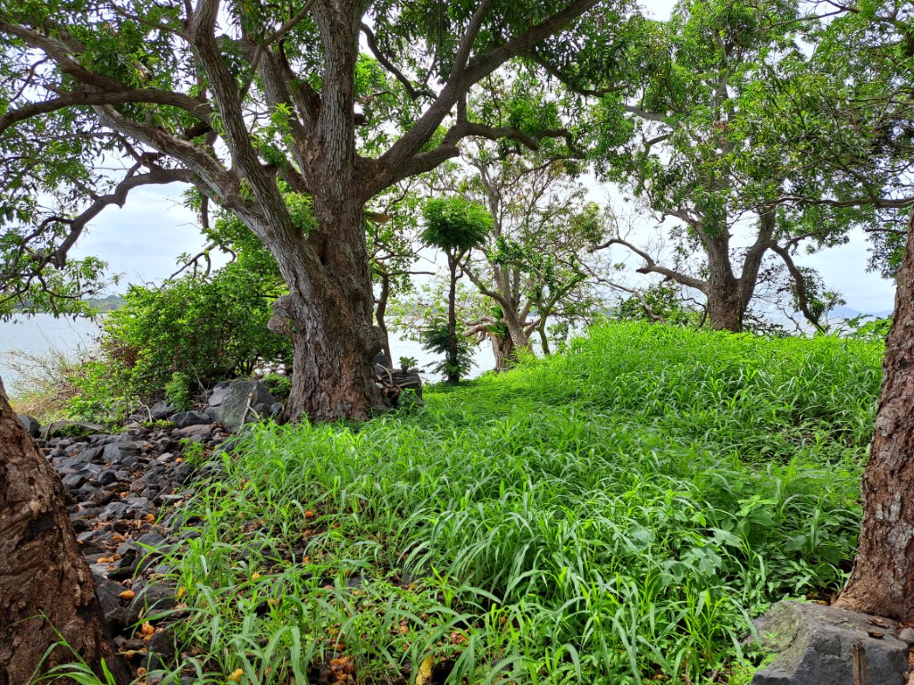 eladó magánsziget isla de coyol nicaragua