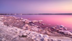 Torrevieja alicante spanyolország rózsaszín sóstó