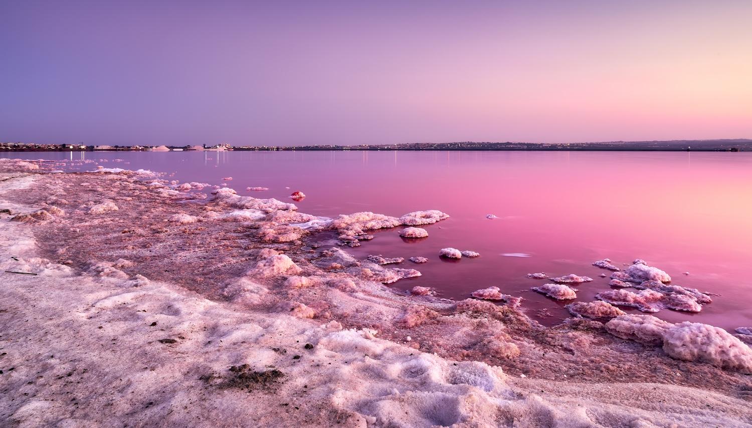 Torrevieja4 | Meglepetés Torrevieja alicante spanyolország rózsaszín sóstó