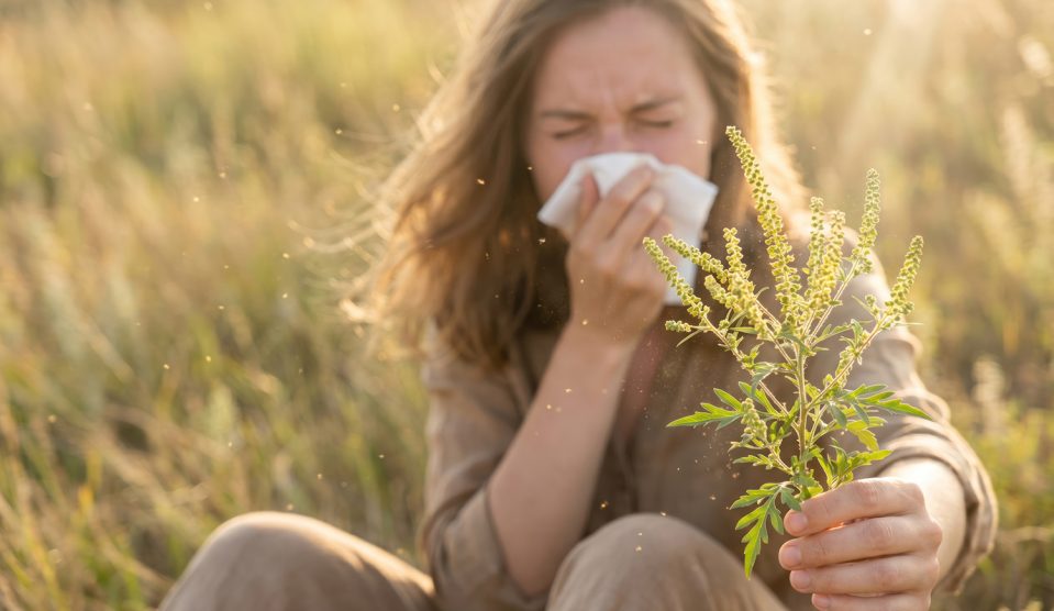 Az allergiára nem elég a gyógyszer | Meglepetés Parlagfüvet tartó allergiás nő ül a mezőn