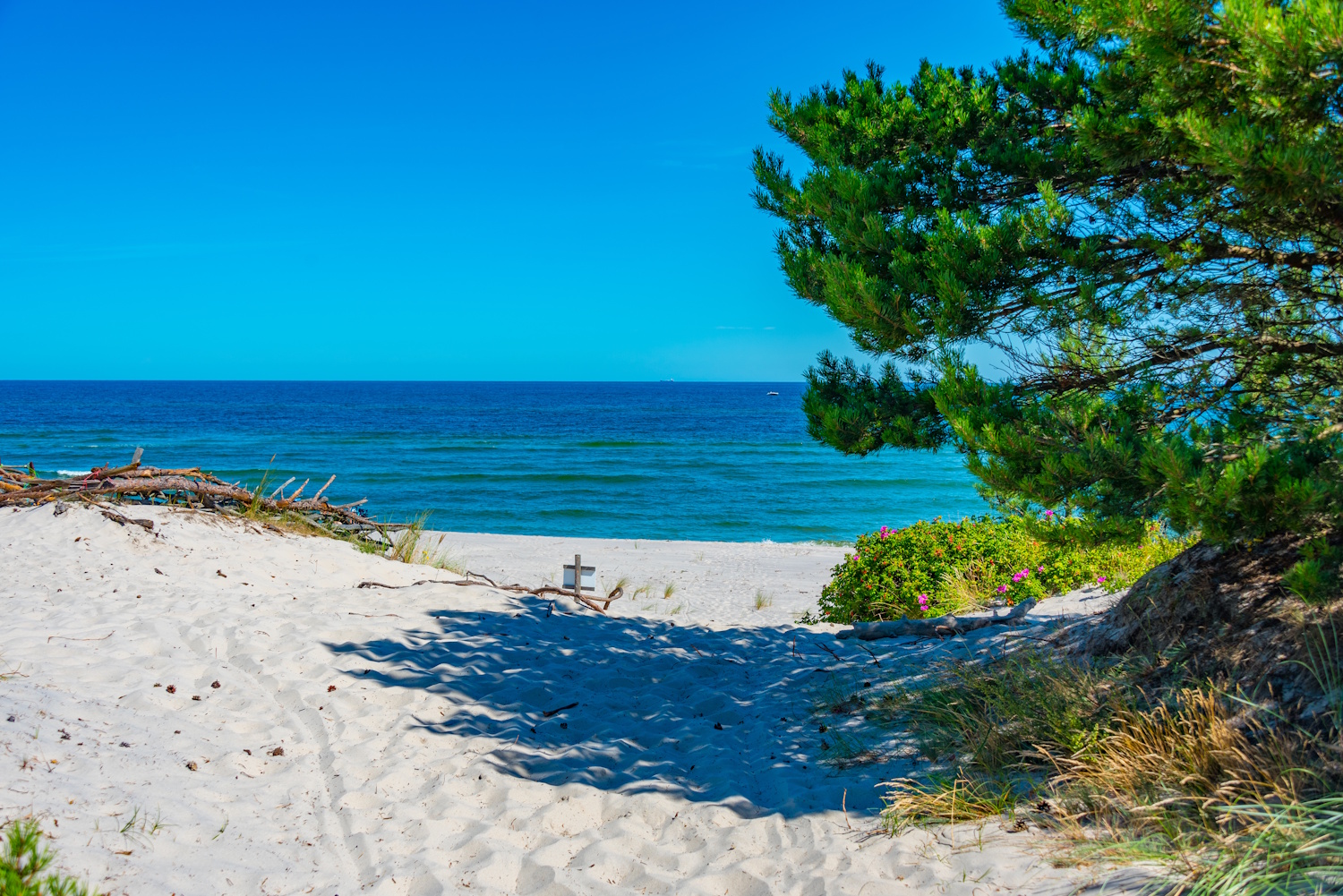 Wild beach at hel peninsula in PolandIMAGE | Meglepetés hel félsziget lengyelország