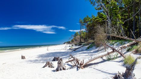 leba strand lengyelország