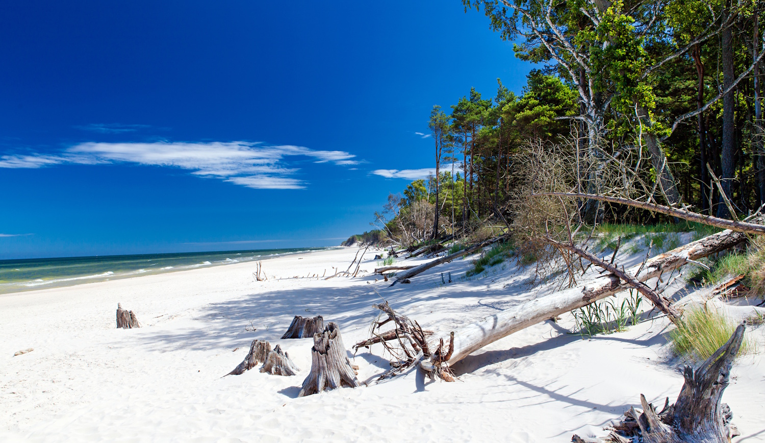 leba strand lengyelország