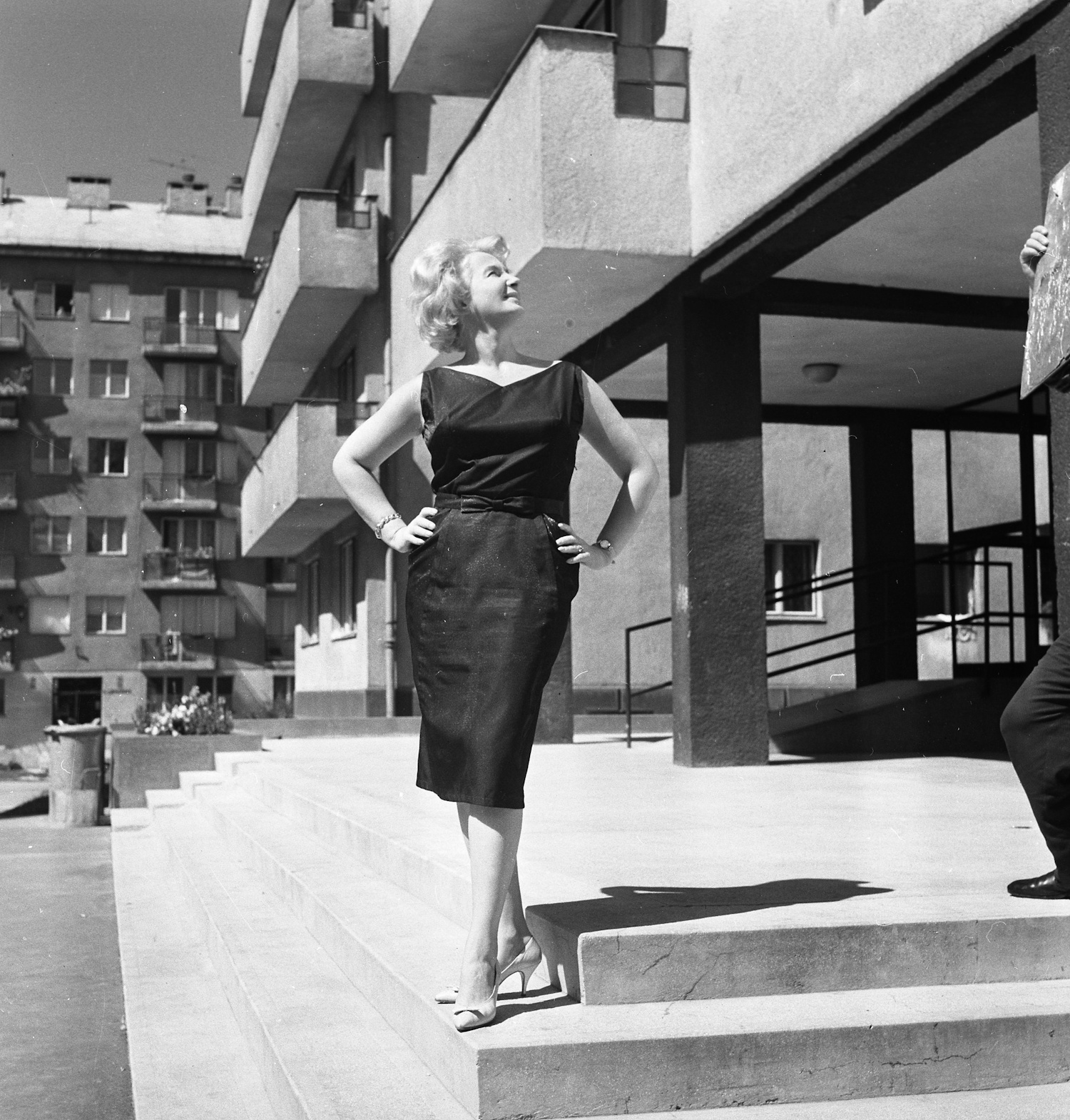 petresszsuzsa3 | Meglepetés 1964. népszerűsége csúcsán petress zsuzsa