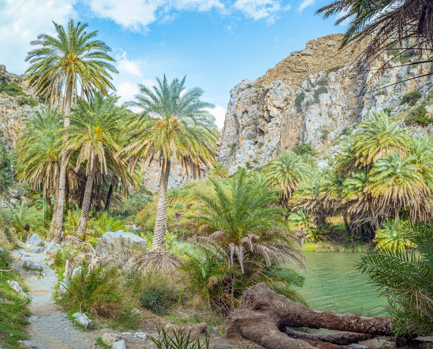 preveli strand kréta görögország