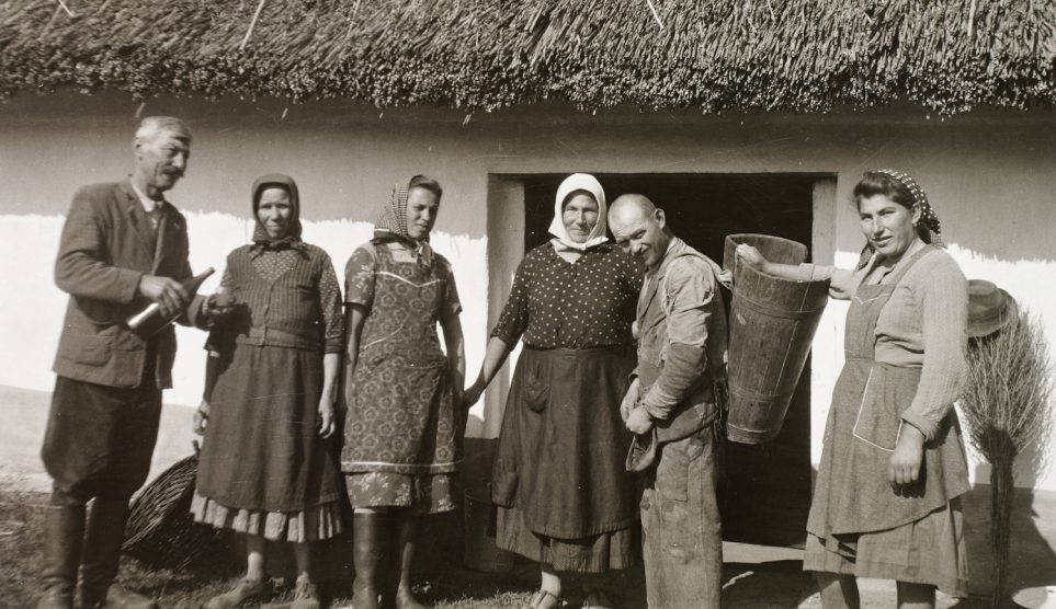 borsodnyito | Meglepetés