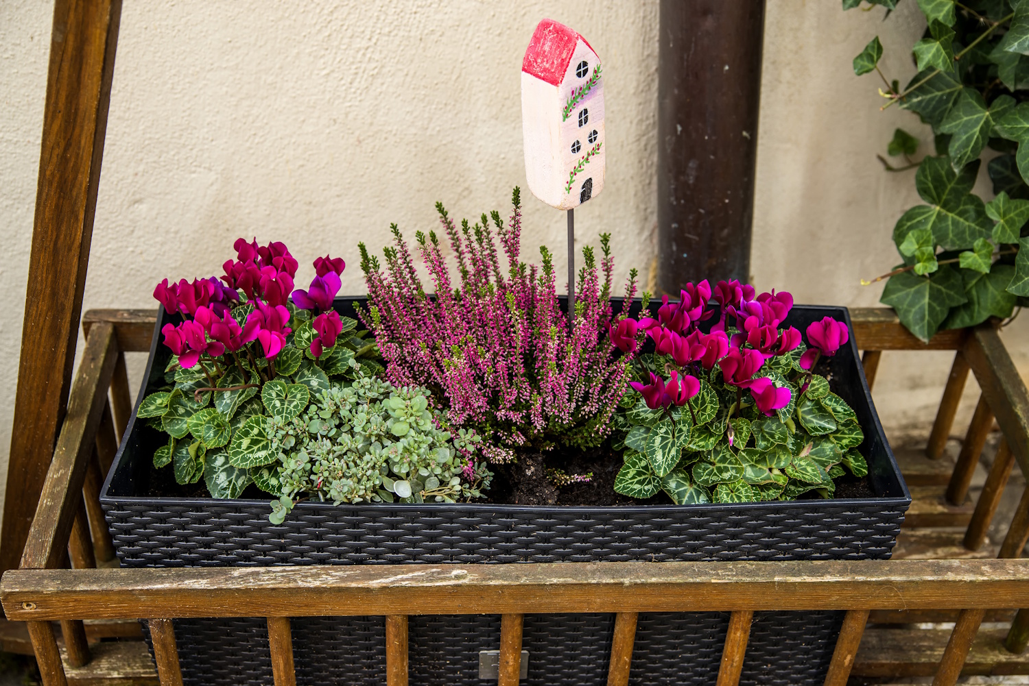 Flowers in a flower box at a house | Meglepetés lila bordó kiegészítőkkel és virágokkal őszi hangulatú szép erkély berendezés inspiráció