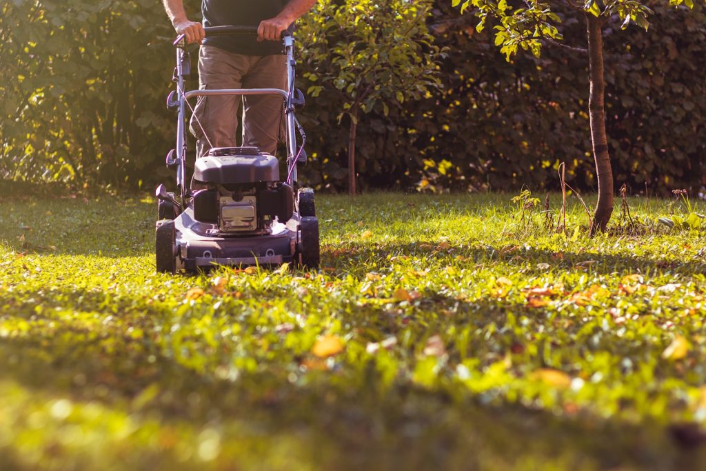 oszigyep | Meglepetés ősszel férfi füvet nyír szép napsütésben a kertben