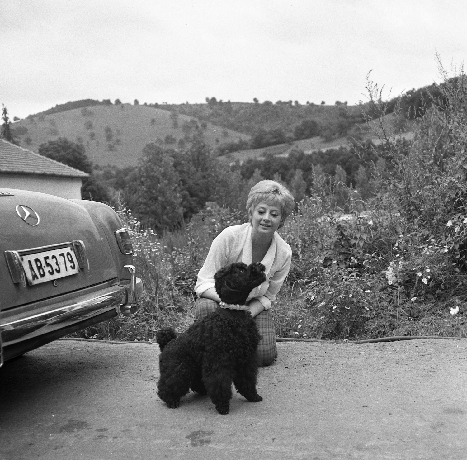 Váradi Hédi